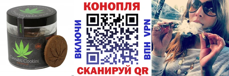 где купить наркоту  Петропавловск-Камчатский  Еда ТГК марихуана 
