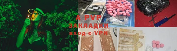 ГАЛЛЮЦИНОГЕННЫЕ ГРИБЫ Костерёво