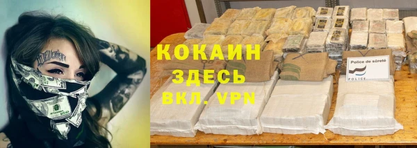 ГАЛЛЮЦИНОГЕННЫЕ ГРИБЫ Коряжма