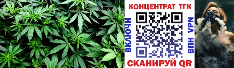 ТГК концентрат  блэк спрут ТОР  Петропавловск-Камчатский 