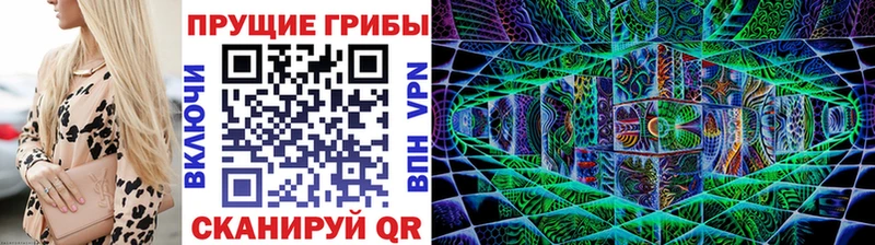 блэк спрут как зайти  Петропавловск-Камчатский  Галлюциногенные грибы ЛСД 
