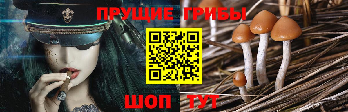Петропавловск-Камчатский  Галлюциногенные грибы мицелий  Вход с VPN 