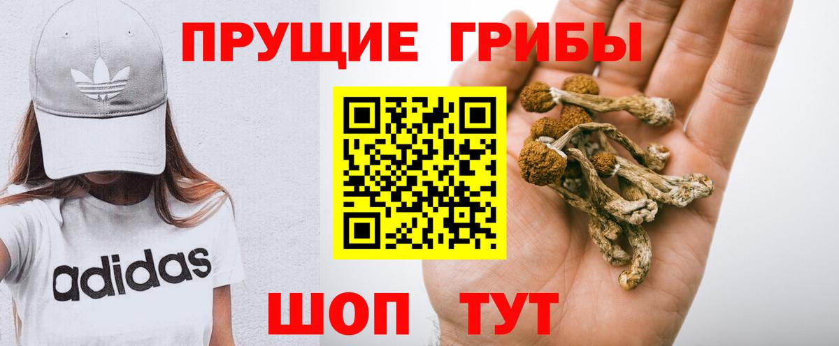 Псилоцибиновые грибы MAGIC MUSHROOMS Петропавловск-Камчатский