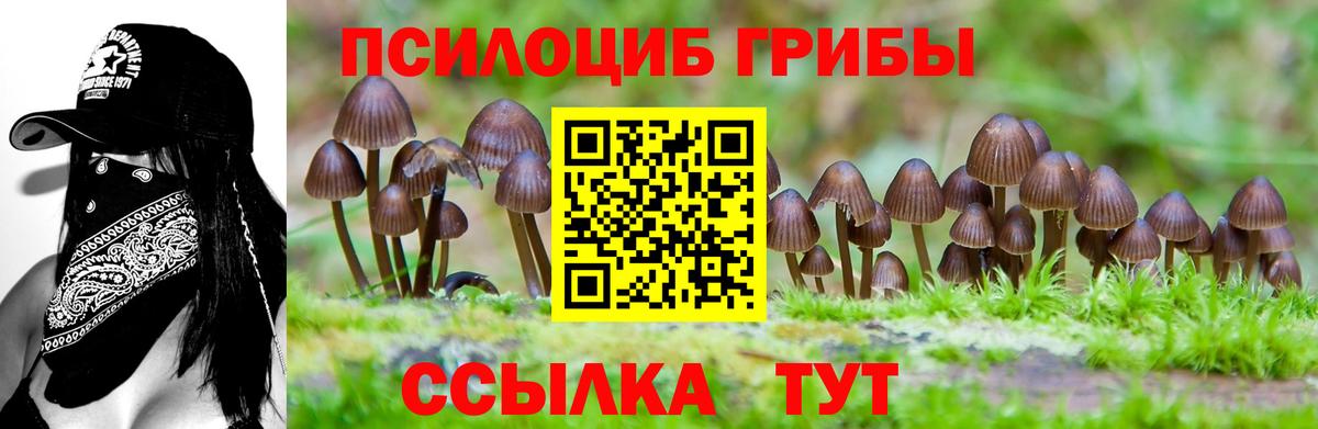 Галлюциногенные грибы Magic Shrooms  Вход с VPN  Петропавловск-Камчатский 