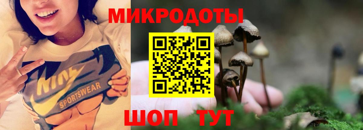 Псилоцибиновые грибы мухоморы Петропавловск-Камчатский